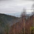 zdjęcie nr 28