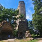 zdjęcie nr 33