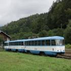 Fotka nr 5 z 6