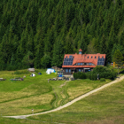 zdjęcie nr 41
