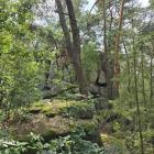 zdjęcie nr 50