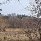 zdjęcie nr 4