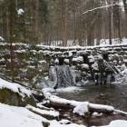 zdjęcie nr 7