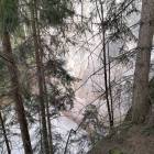 zdjęcie nr 36