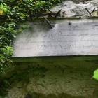 zdjęcie nr 12