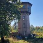 zdjęcie nr 26