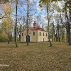 zdjęcie nr 36