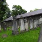 zdjęcie nr 8