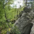 zdjęcie nr 16