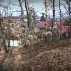 zdjęcie nr 8
