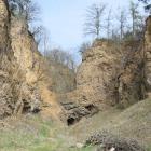 zdjęcie nr 41
