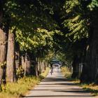 zdjęcie nr 8