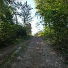 zdjęcie nr 31