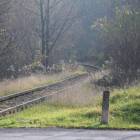 zdjęcie nr 47
