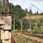 zdjęcie nr 11