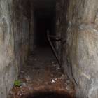 zdjęcie nr 31