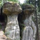 zdjęcie nr 42