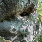 zdjęcie nr 34