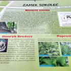 zdjęcie nr 15
