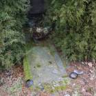 zdjęcie nr 13