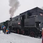 Fotka nr 1 z 5
