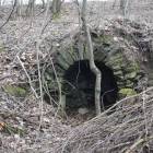 zdjęcie nr 8