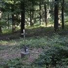 zdjęcie nr 31