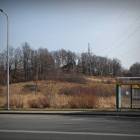 zdjęcie nr 32