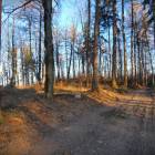 zdjęcie nr 15