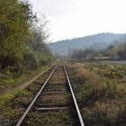 zdjęcie nr 21