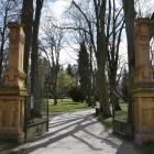 zdjęcie nr 46