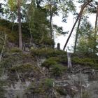 zdjęcie nr 34