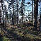 Fotka nr 1 z 9