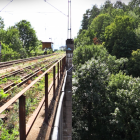 zdjęcie nr 10