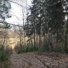 zdjęcie nr 8