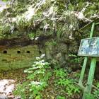 zdjęcie nr 55
