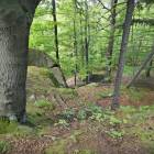 zdjęcie nr 37