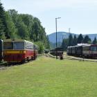 zdjęcie nr 22