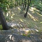 zdjęcie nr 31