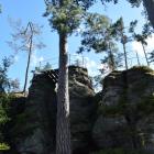zdjęcie nr 8