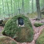 zdjęcie nr 7