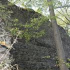 zdjęcie nr 51