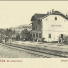 zdjęcie nr 12