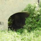 zdjęcie nr 9