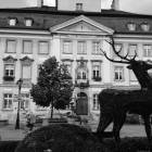 zdjęcie nr 42