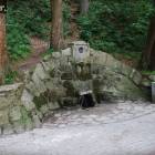 zdjęcie nr 9