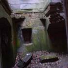 Fotka nr 5 z 11