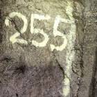 zdjęcie nr 34