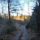 zdjęcie nr 43