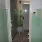 zdjęcie nr 30